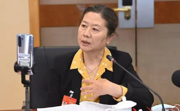 全國人大代表王安憶：公交司機猝發急病甚至猝死，不是個例！建議增設司乘人員